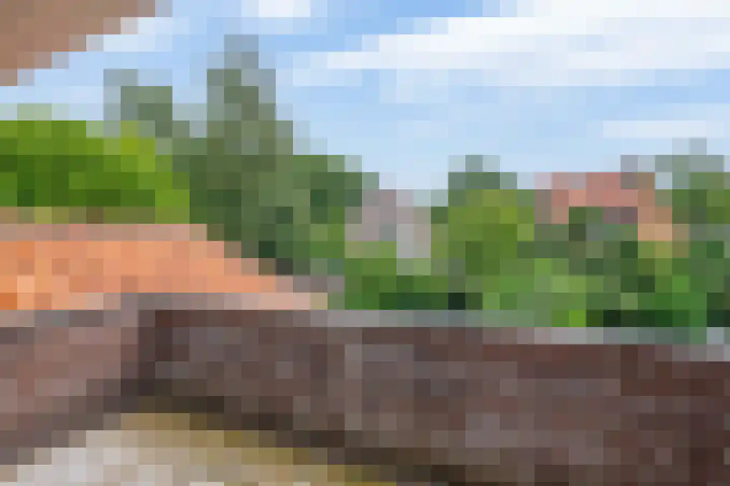Ericalaan 8 Wageningen thumbnail 26