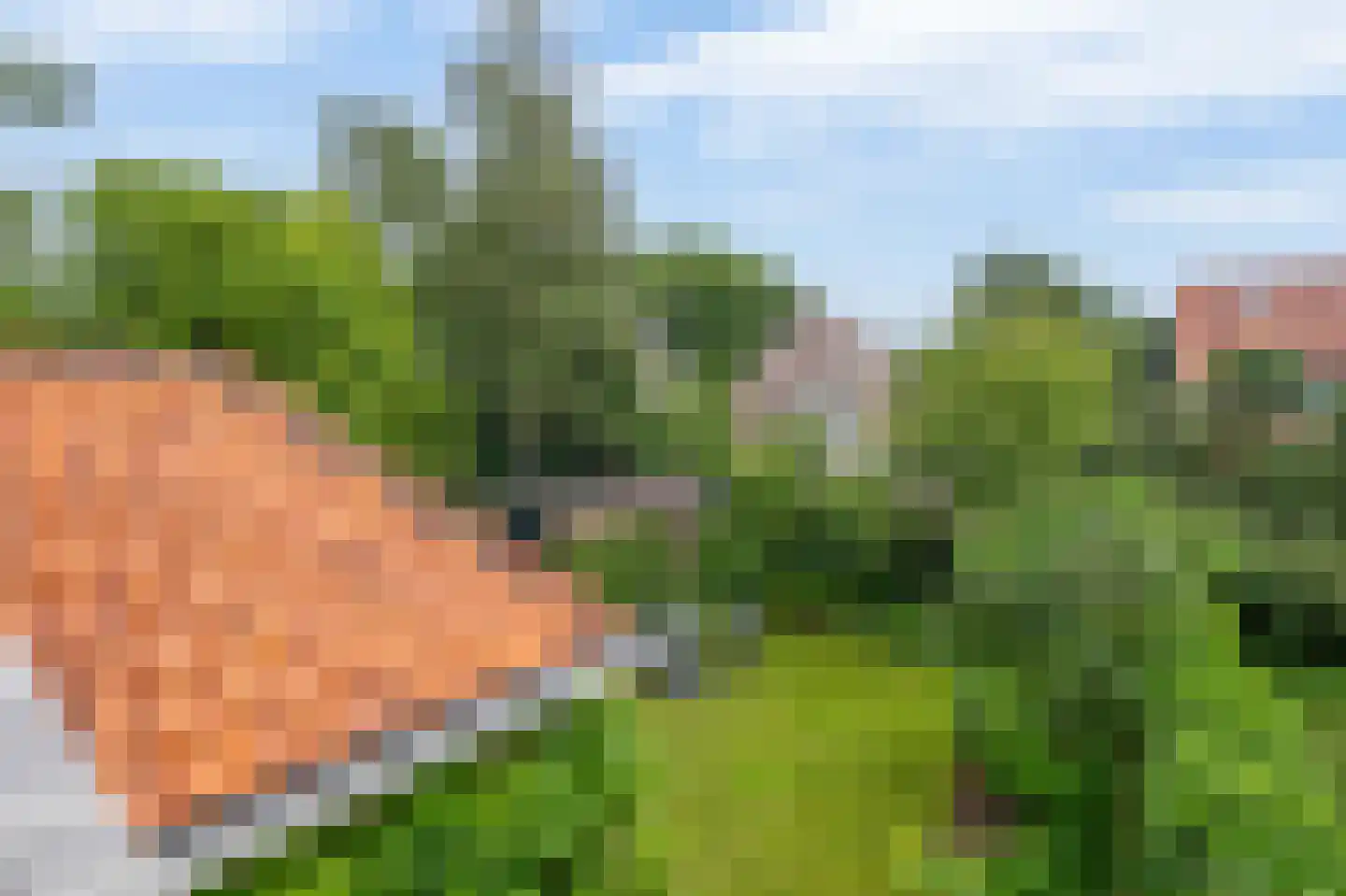 Ericalaan 8 Wageningen thumbnail 27