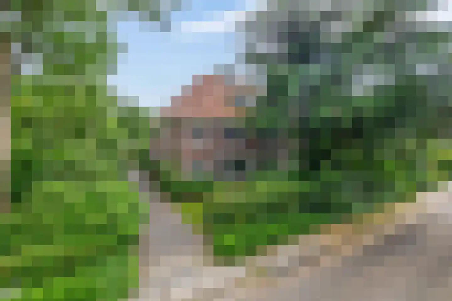 Ericalaan 8 Wageningen thumbnail 4