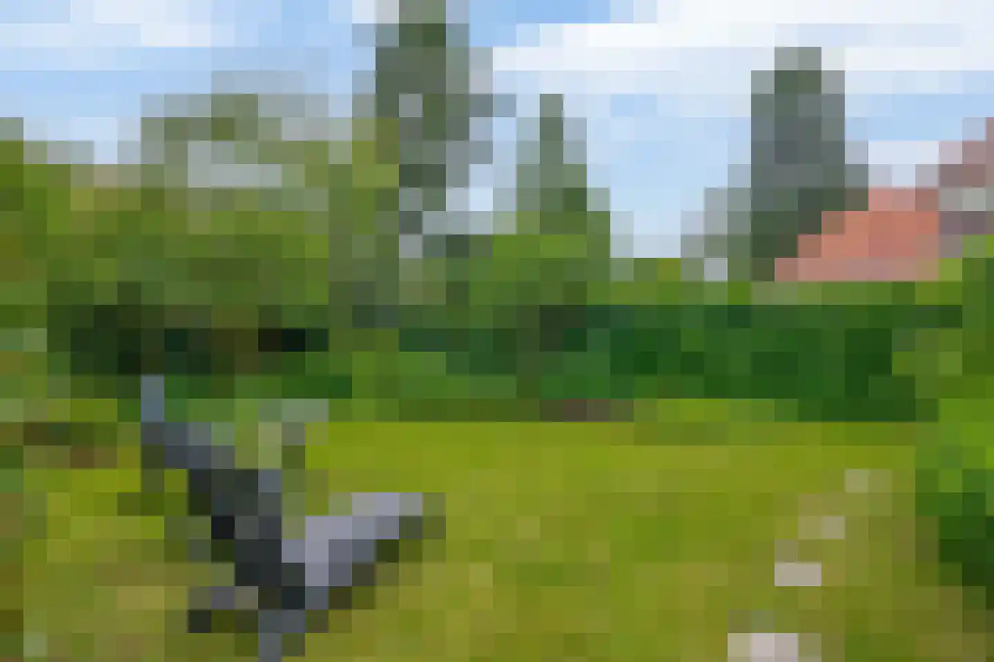 Ericalaan 8 Wageningen thumbnail 50