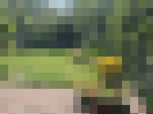 Ericalaan 8 Wageningen thumbnail 51