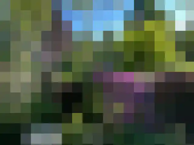 Ericalaan 8 Wageningen thumbnail 56