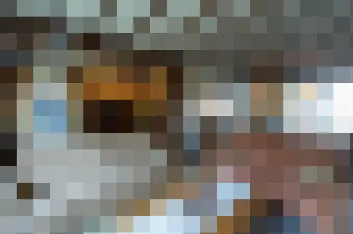 Ericalaan 88 Hoeven thumbnail 10