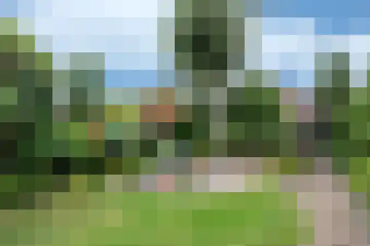 Ericalaan 88 Hoeven thumbnail 21