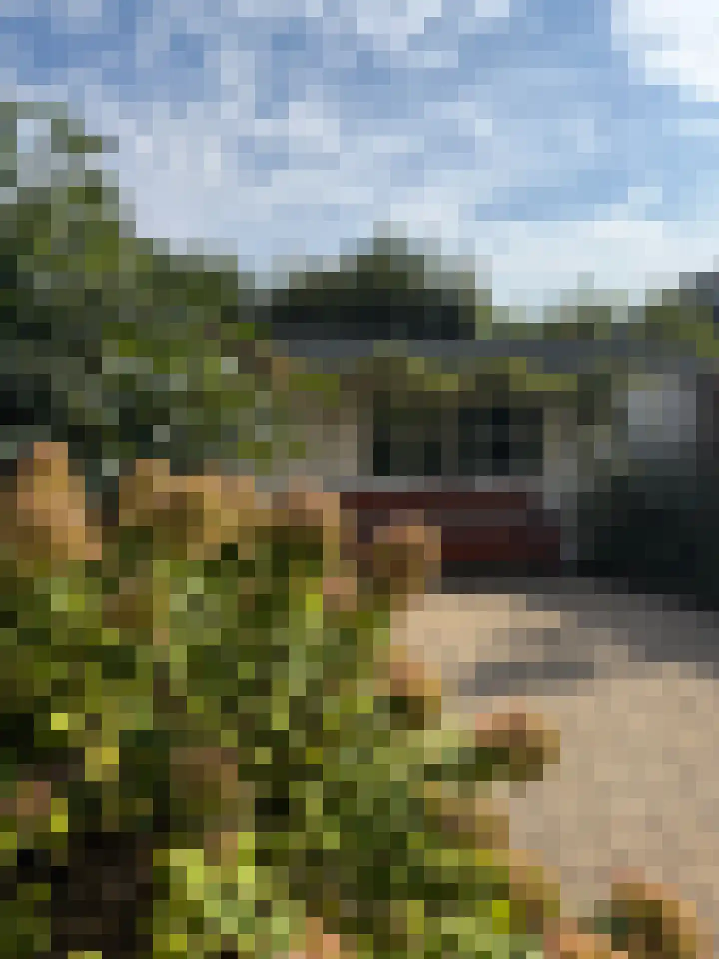 Ericapad 10 Valkenswaard thumbnail 24