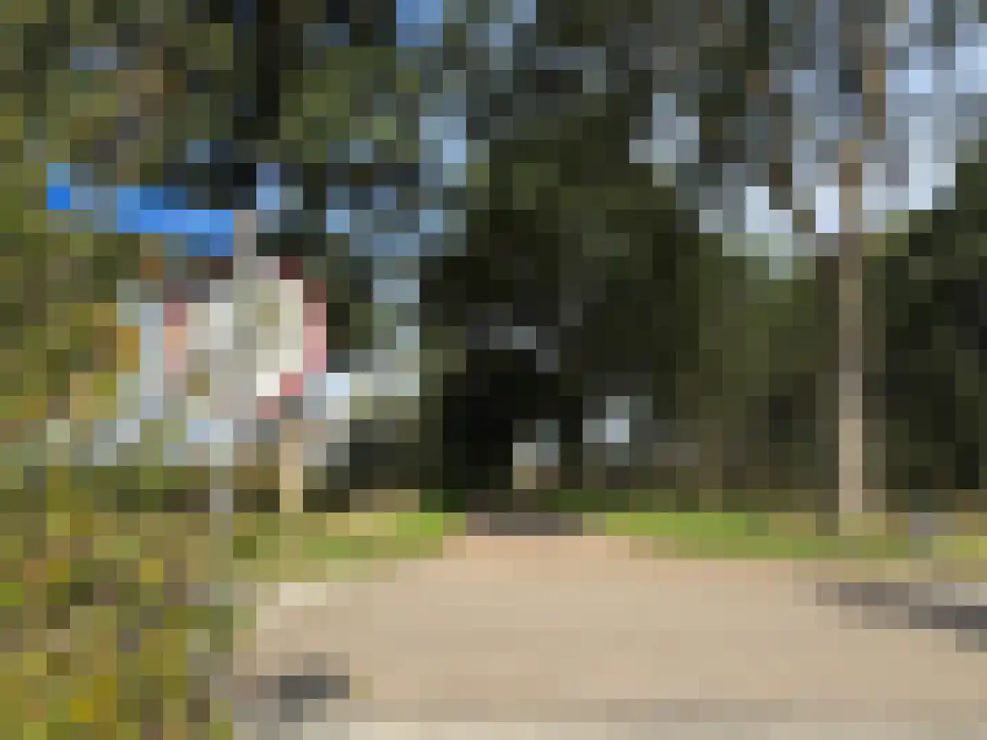 Ericapad 10 Valkenswaard thumbnail 26