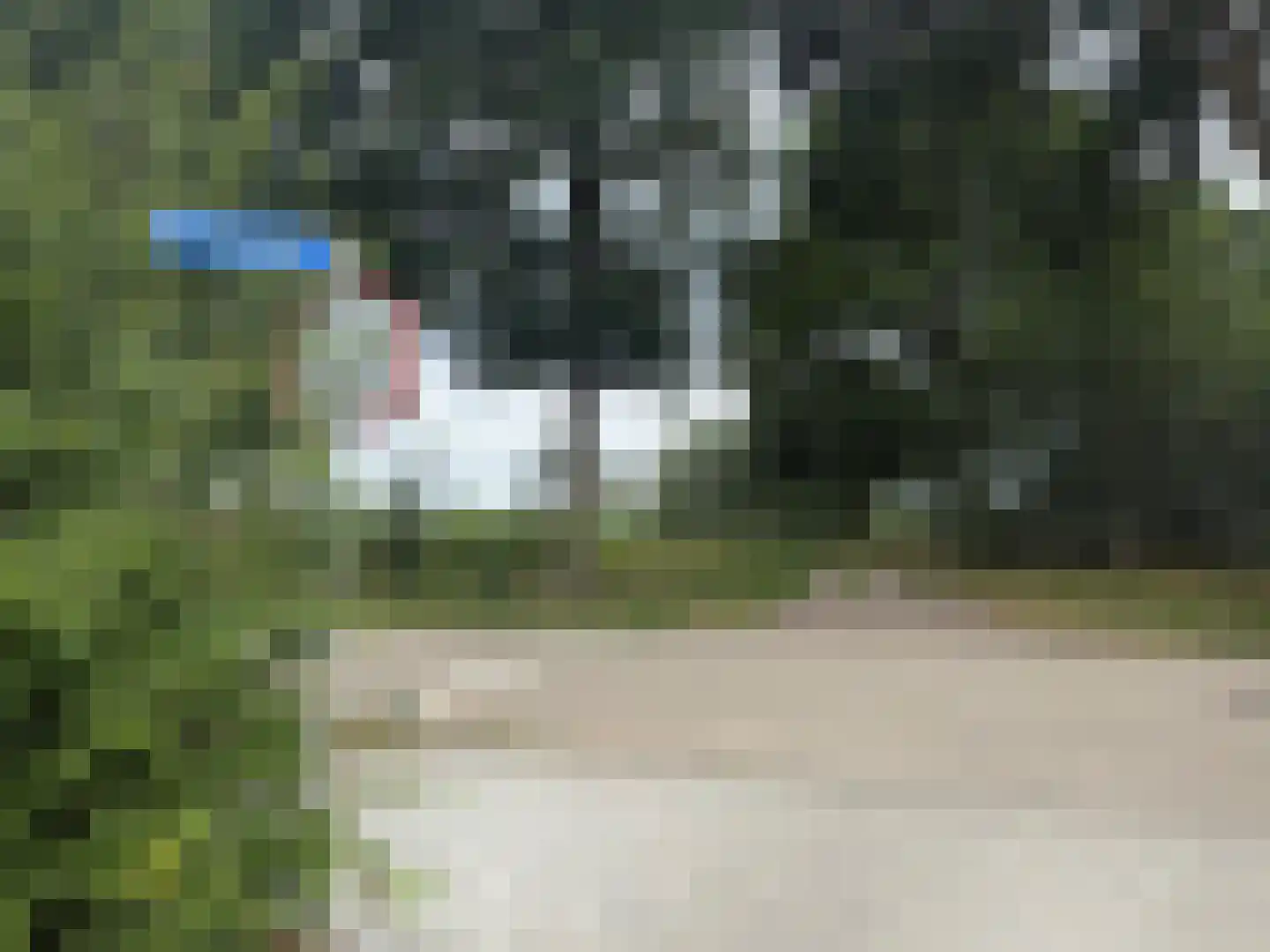 Ericapad 10 Valkenswaard thumbnail 28