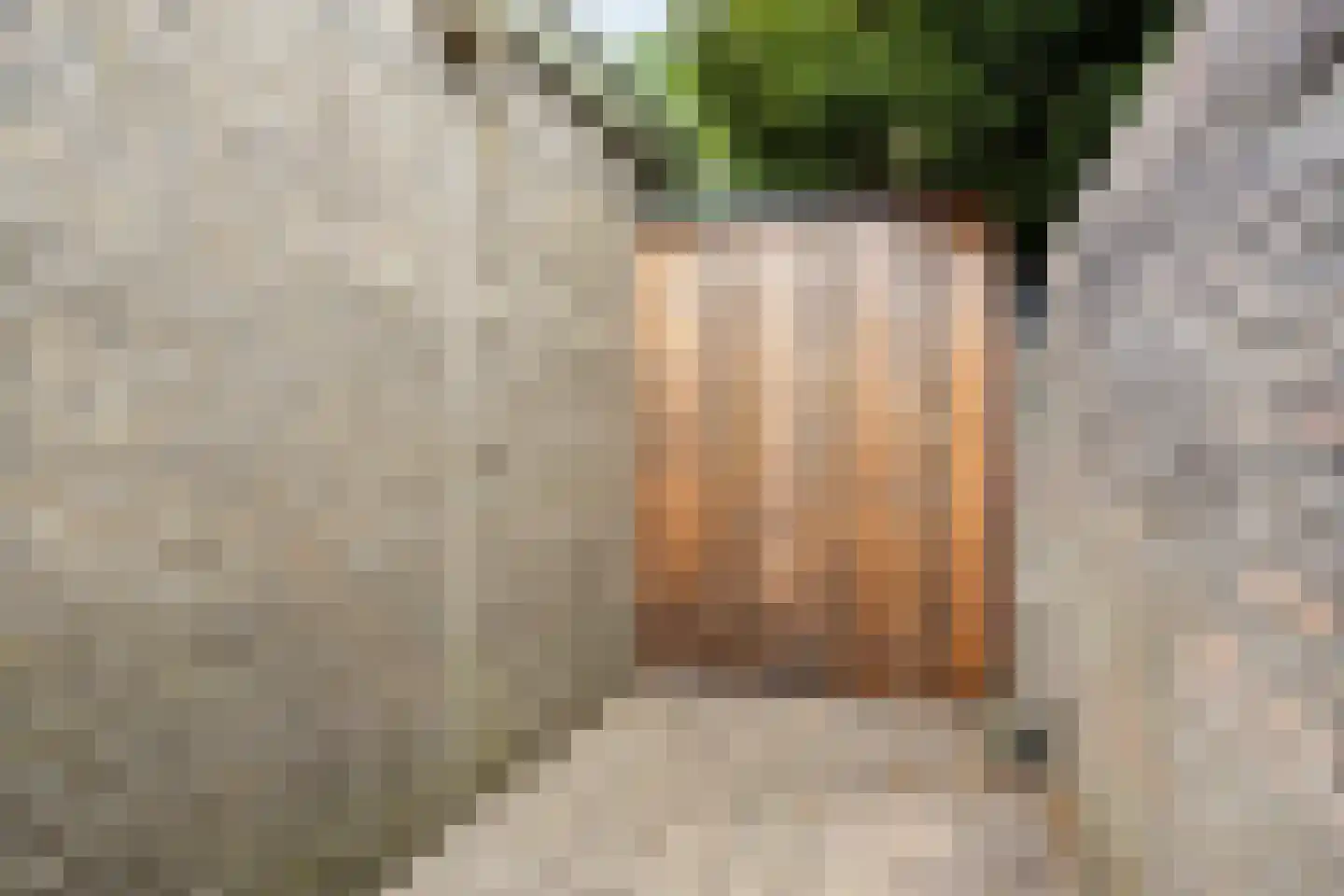 Ericapad 10 Valkenswaard thumbnail 33
