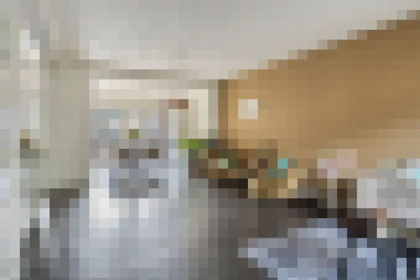 Ericapad 10 Valkenswaard thumbnail 8