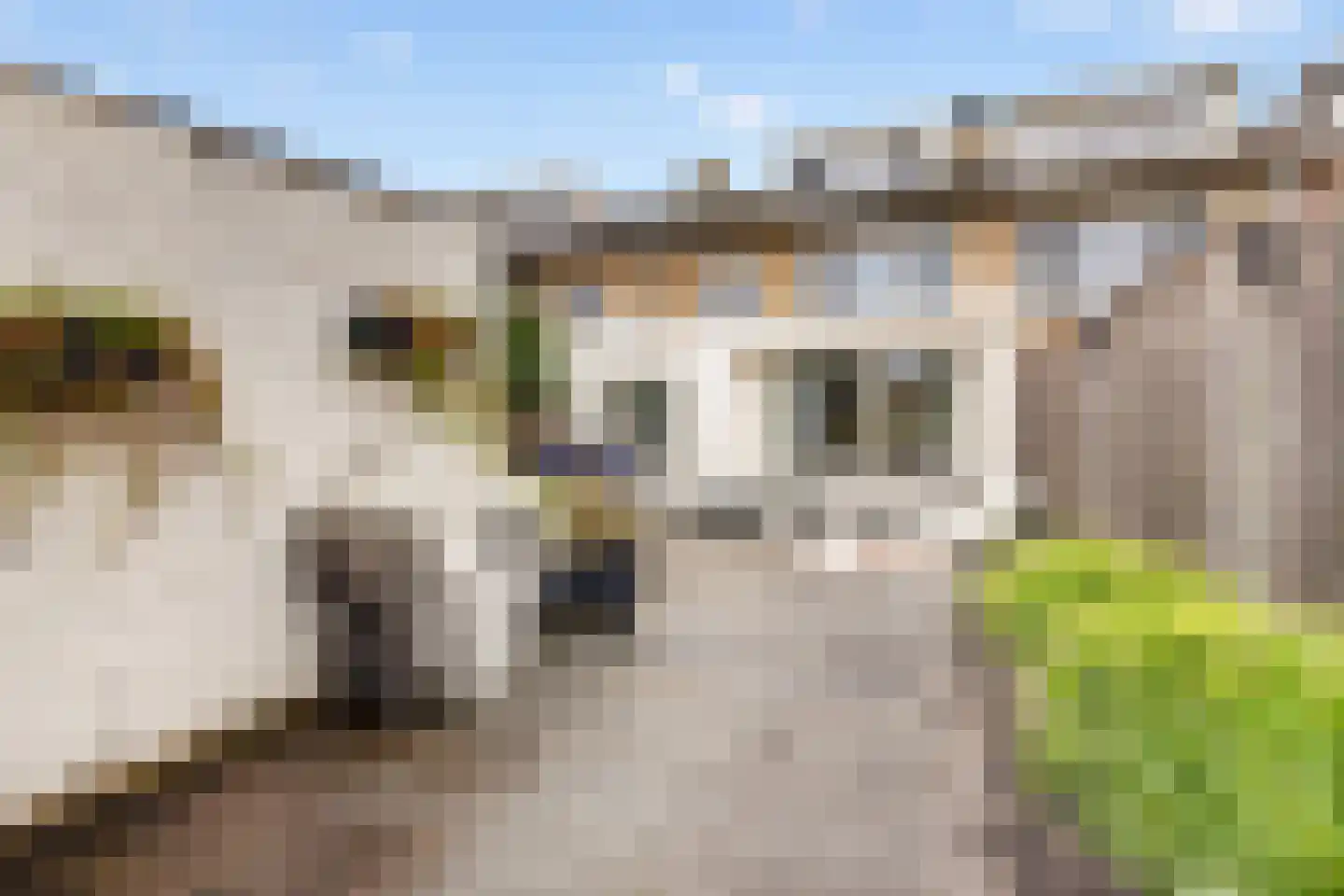 Ericapad 8 Valkenswaard thumbnail 29