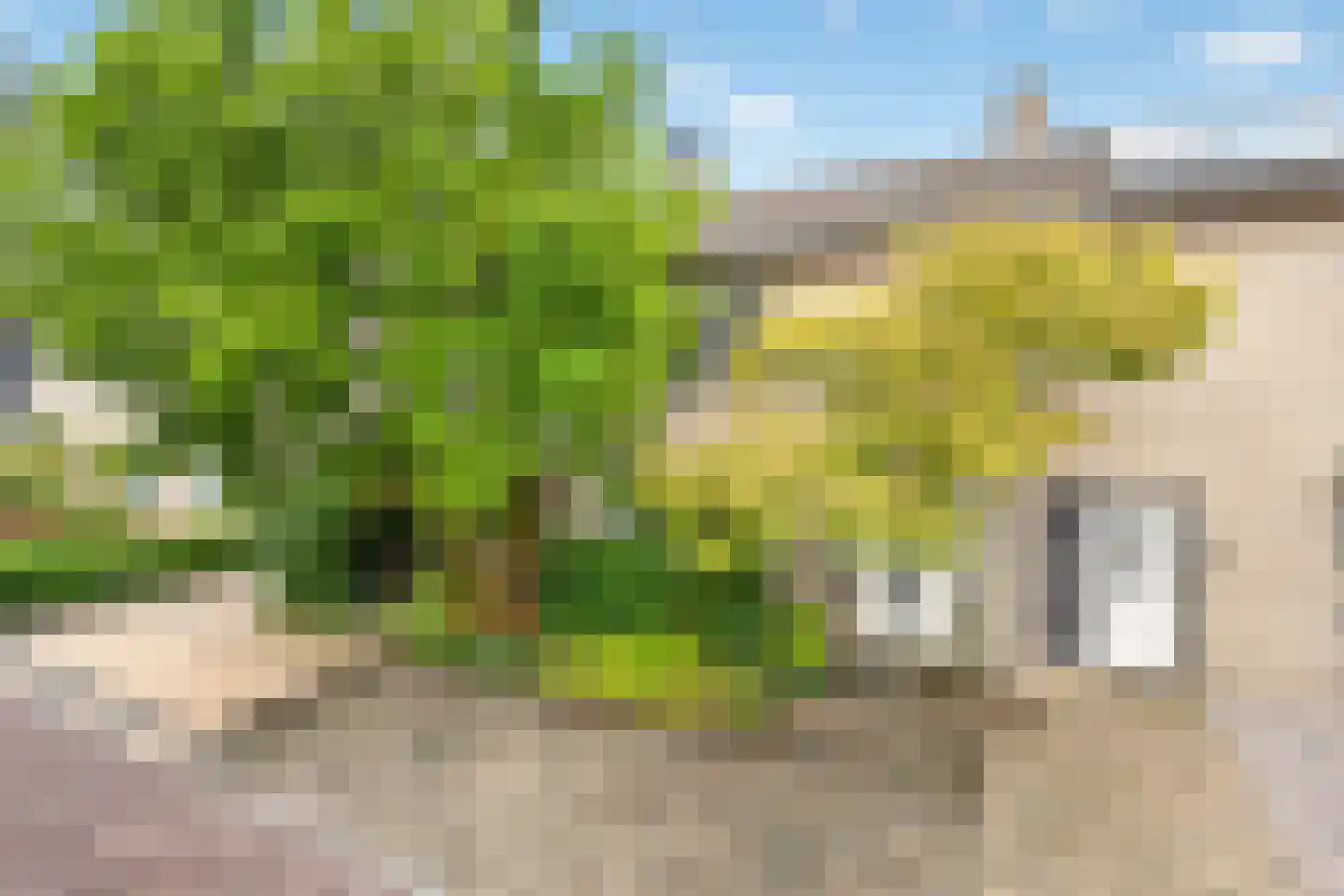 Ericapad 8 Valkenswaard thumbnail 42