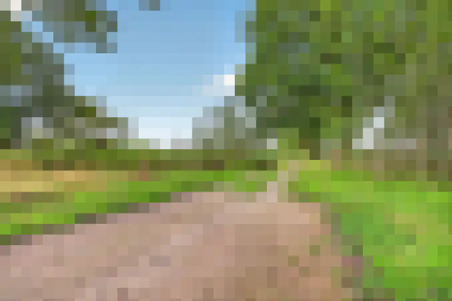 Ericapad 8 Valkenswaard thumbnail 45