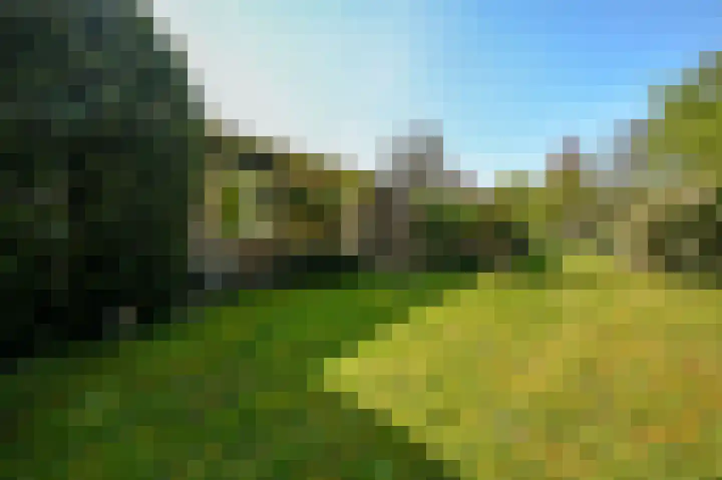 Ericapark 10 Bennekom thumbnail 4