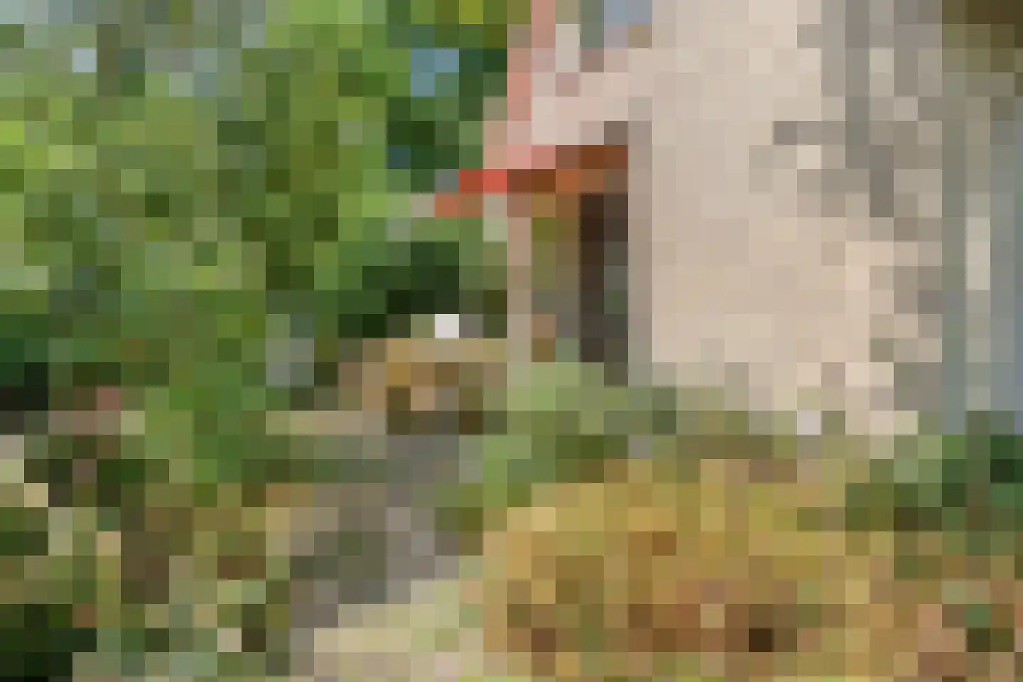 Ericapark 15 Alphen aan den Rijn thumbnail 35