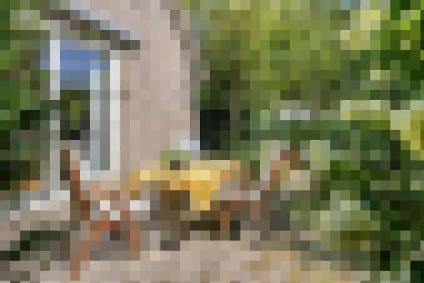 Ericapark 15 Alphen aan den Rijn thumbnail 37