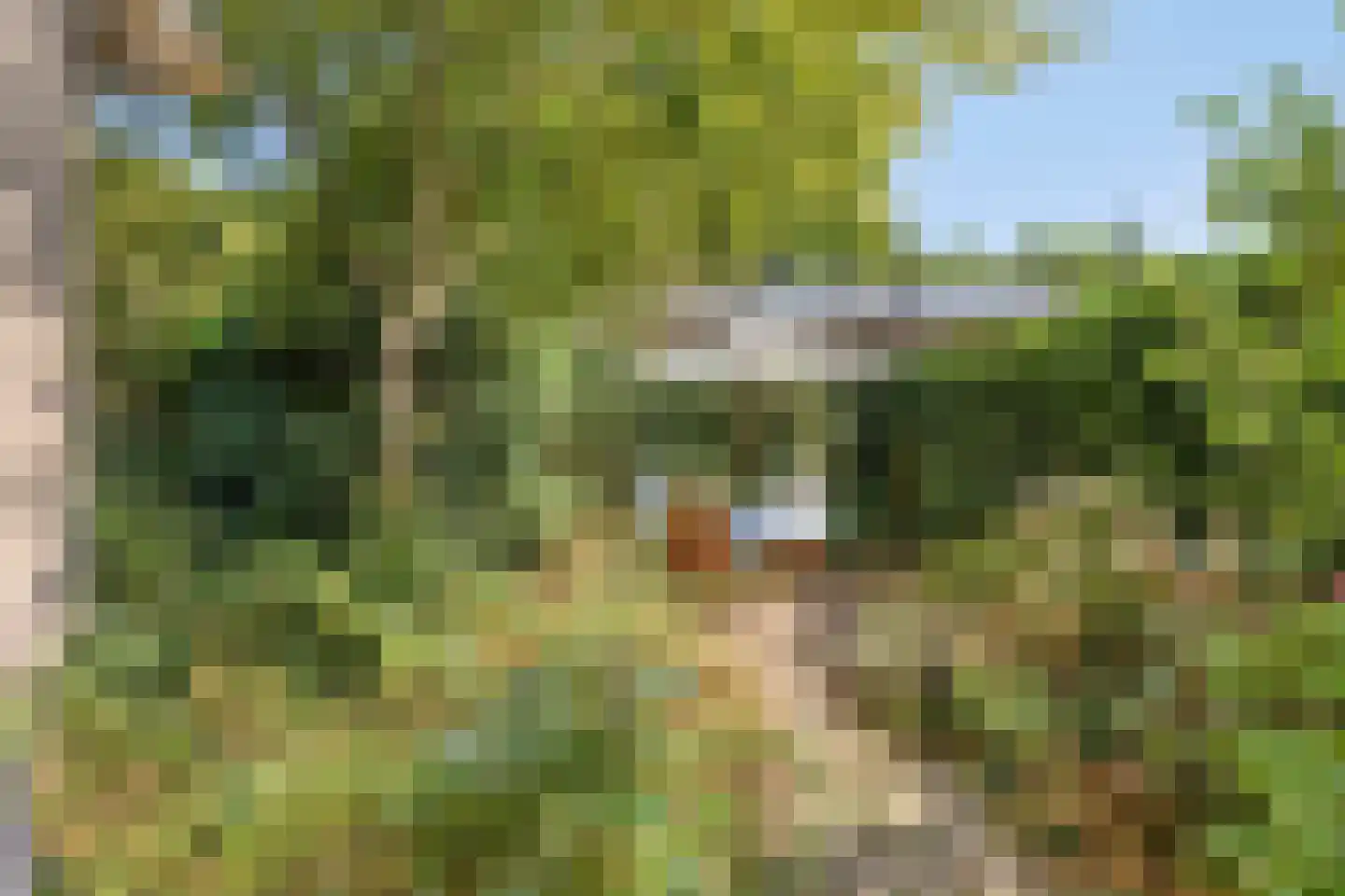Ericapark 15 Alphen aan den Rijn thumbnail 38