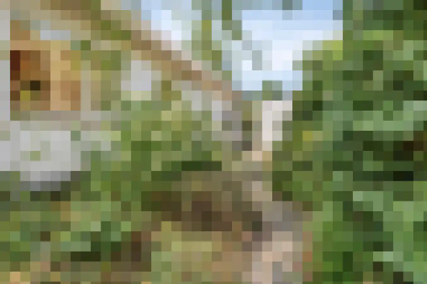 Ericapark 15 Alphen aan den Rijn thumbnail 39