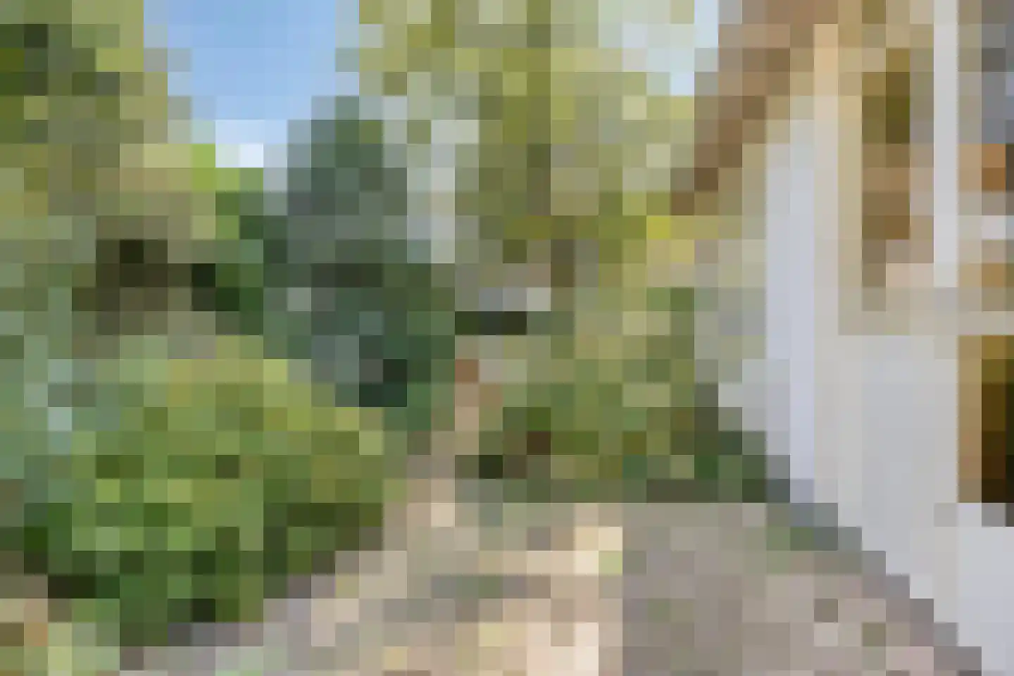 Ericapark 15 Alphen aan den Rijn thumbnail 41