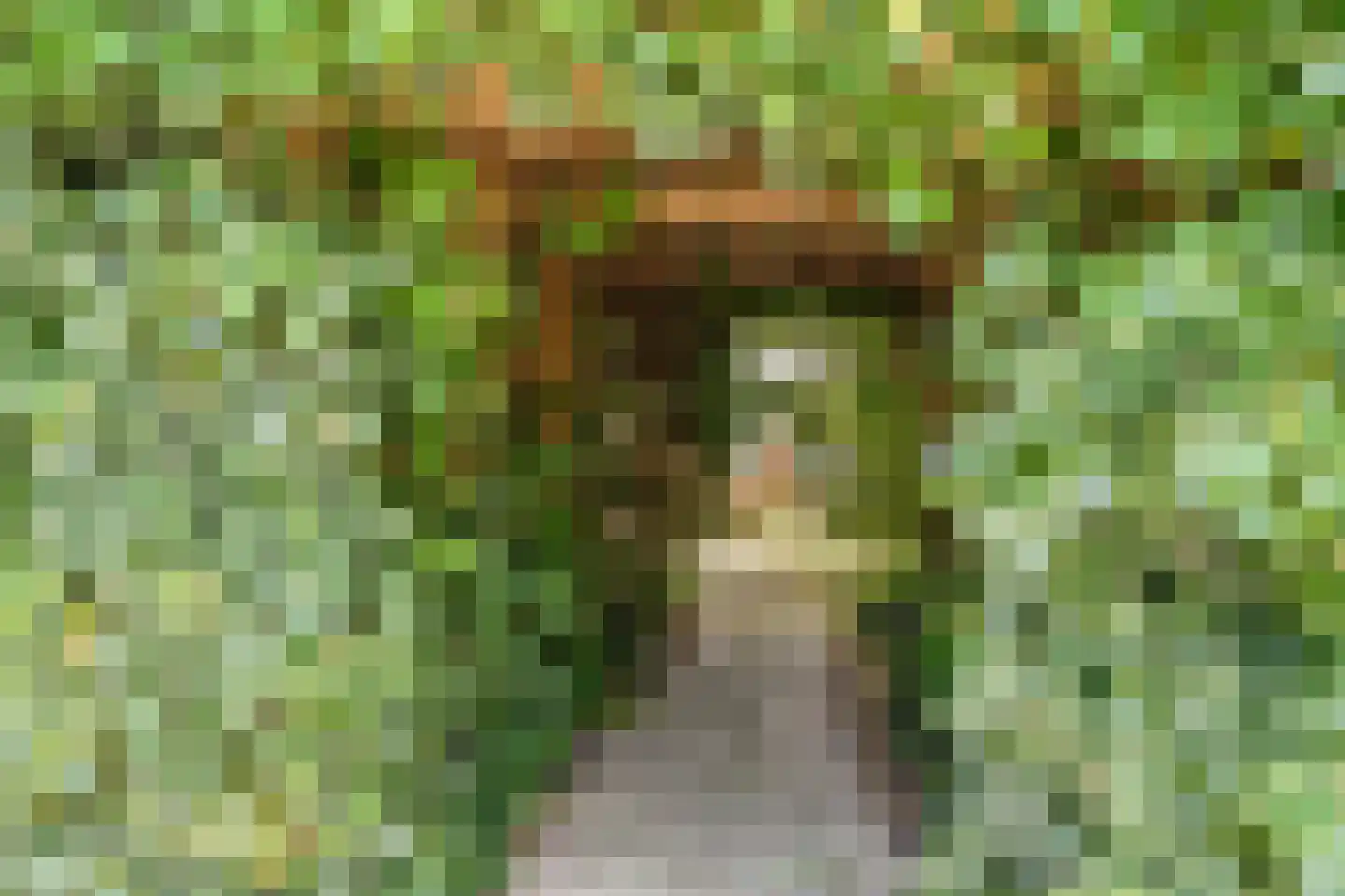 Ericapark 15 Alphen aan den Rijn thumbnail 44