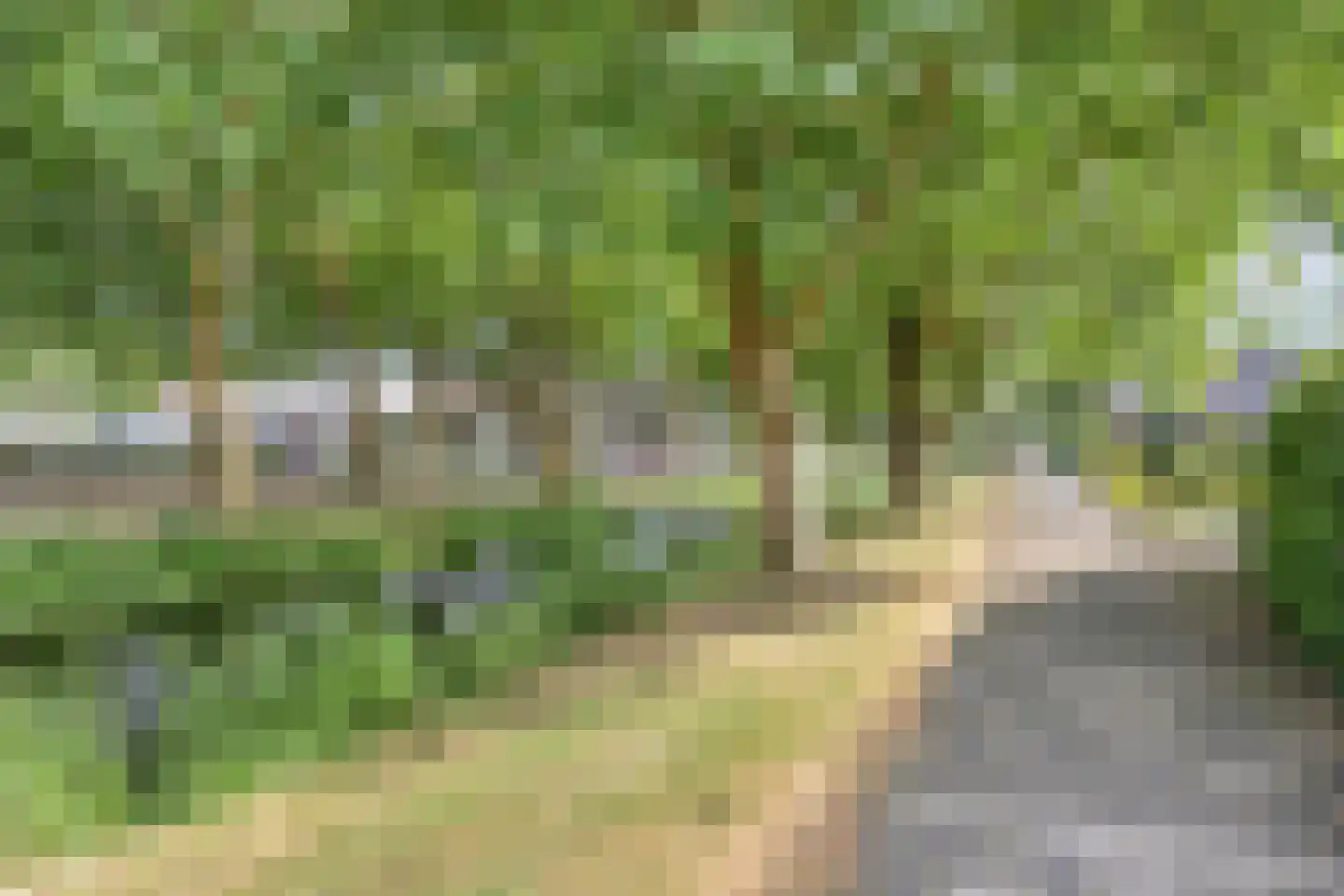Ericapark 15 Alphen aan den Rijn thumbnail 46