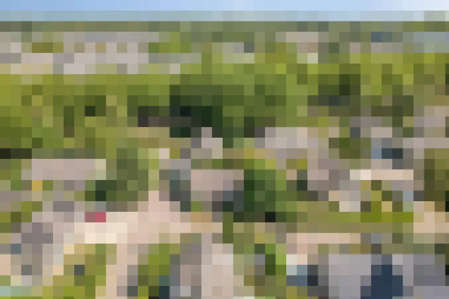 Ericapark 15 Alphen aan den Rijn thumbnail 51