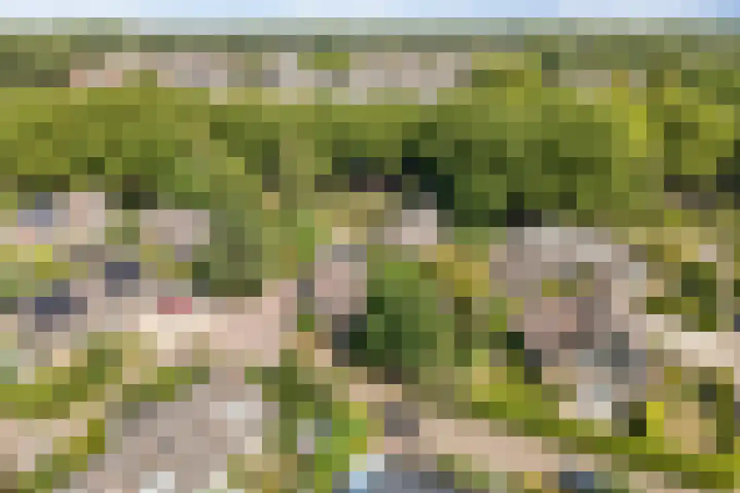 Ericapark 15 Alphen aan den Rijn thumbnail 52