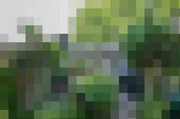 Ericapark 15 Bennekom thumbnail 17