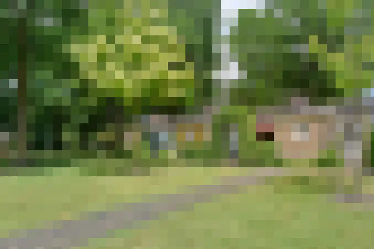 Ericapark 21 Bennekom thumbnail 6