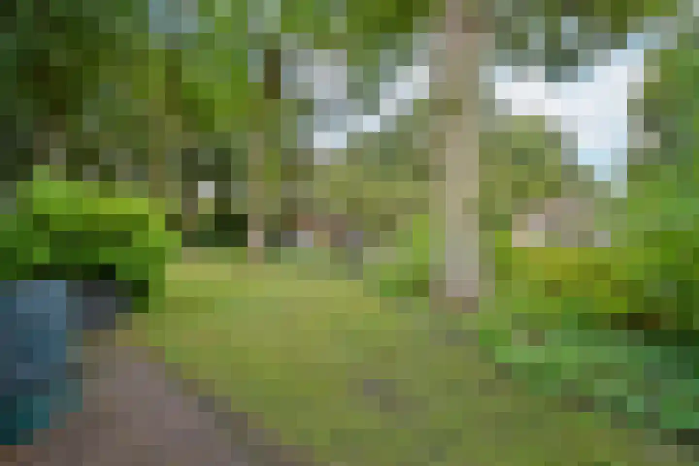 Ericapark 21 Bennekom thumbnail 9