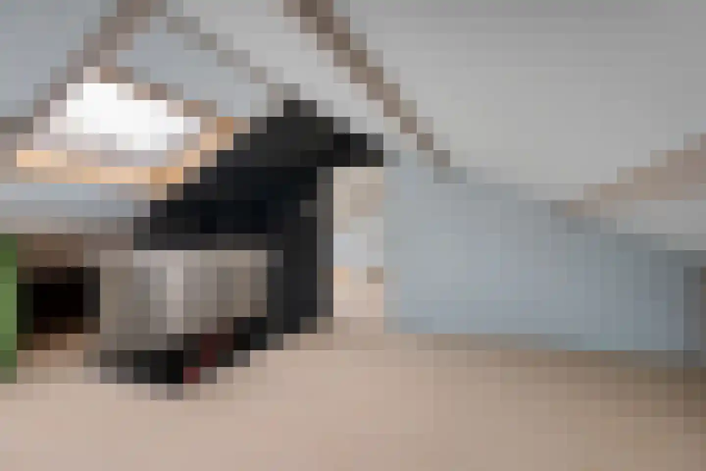 Ericapark 21 Gasselte thumbnail 19