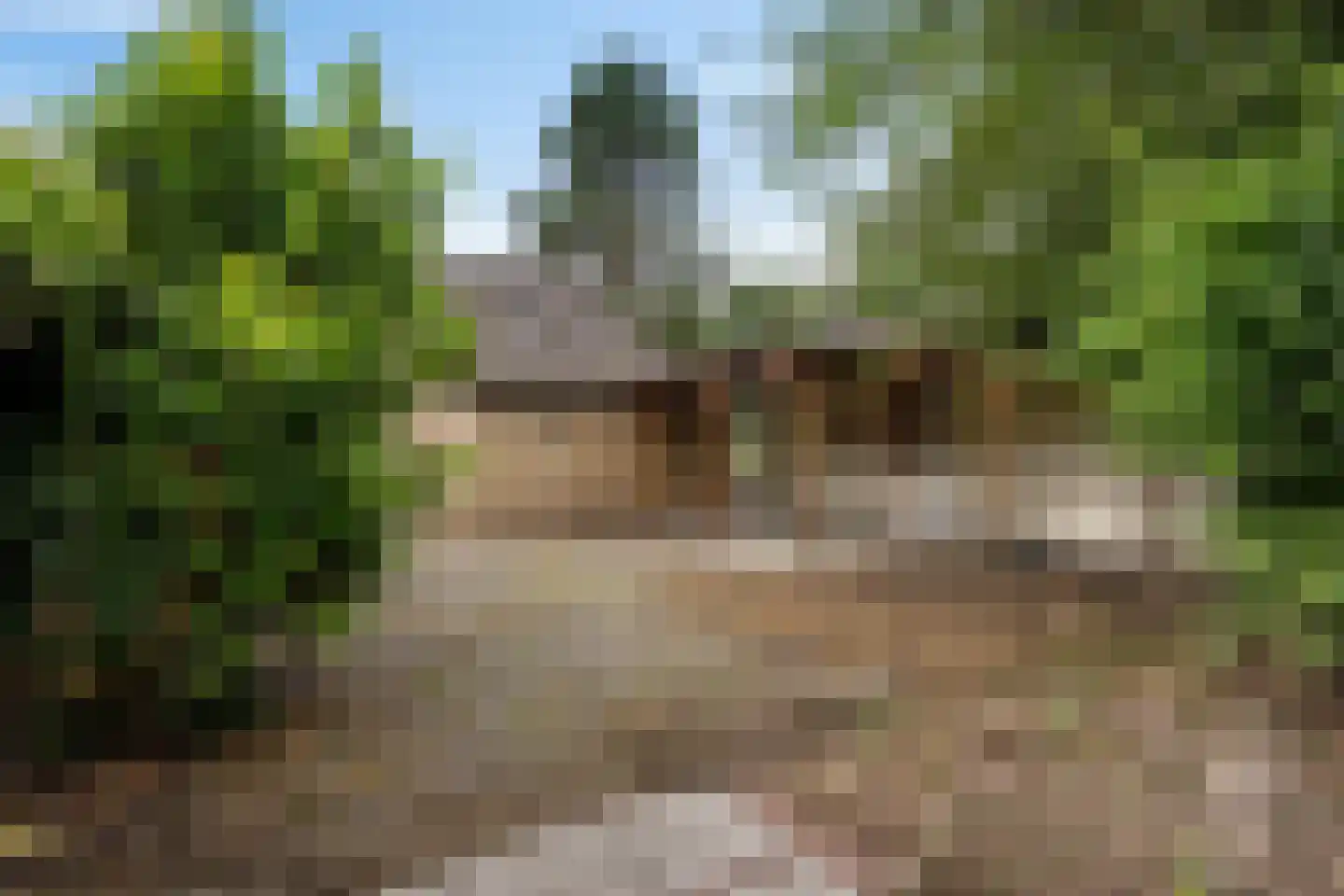 Ericapark 21 Gasselte thumbnail 25
