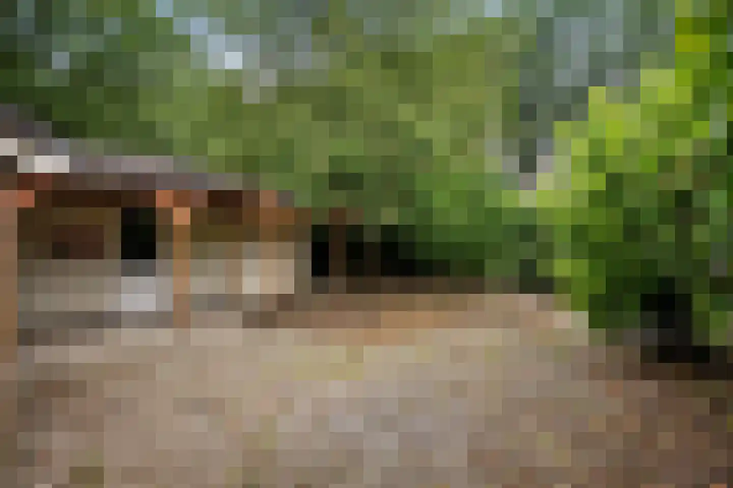 Ericapark 21 Gasselte thumbnail 26
