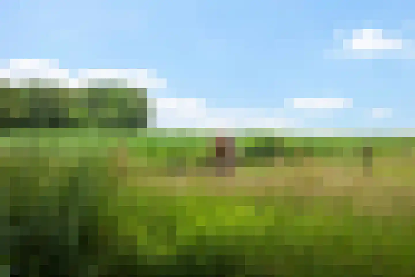 Ericapark 21 Gasselte thumbnail 30