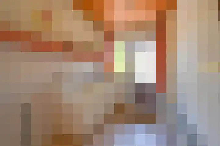 Ericapark 3 Alphen aan den Rijn thumbnail 11