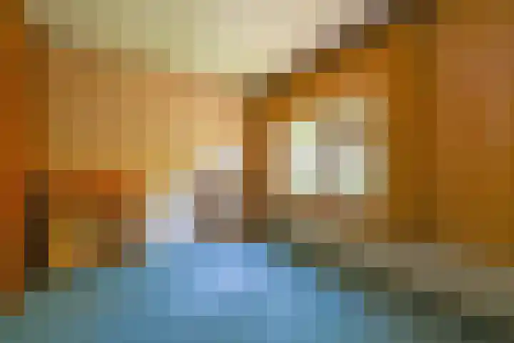 Ericapark 3 Alphen aan den Rijn thumbnail 14