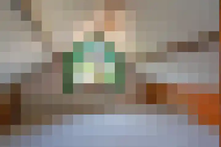 Ericapark 3 Alphen aan den Rijn thumbnail 26