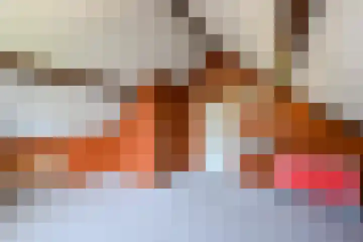 Ericapark 3 Alphen aan den Rijn thumbnail 27