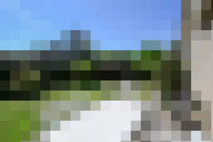 Ericapark 3 Alphen aan den Rijn thumbnail 32