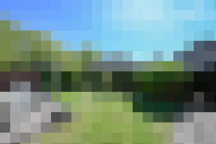 Ericapark 3 Alphen aan den Rijn thumbnail 33