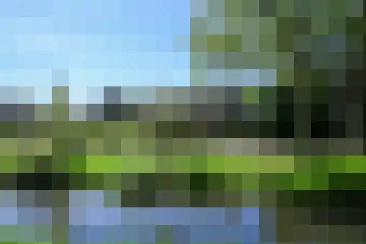 Ericapark 3 Alphen aan den Rijn thumbnail 37