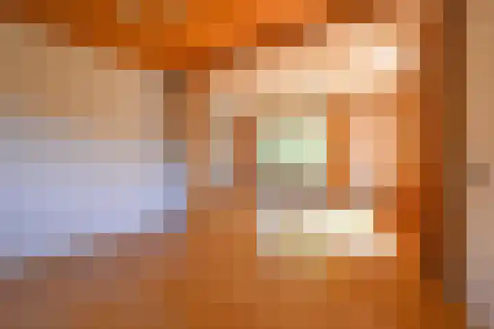 Ericapark 3 Alphen aan den Rijn thumbnail 7