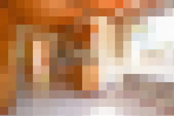 Ericapark 3 Alphen aan den Rijn thumbnail 9