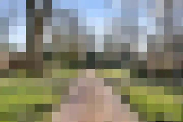 Ericapark 33 Bennekom thumbnail 10