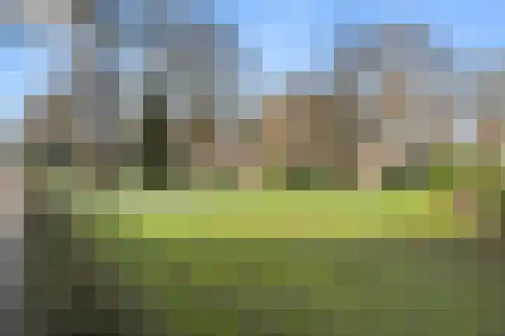 Ericapark 33 Bennekom thumbnail 11