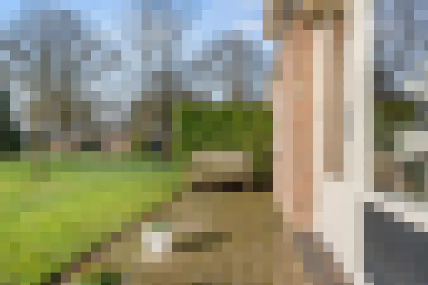 Ericapark 33 Bennekom thumbnail 12
