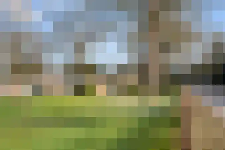 Ericapark 33 Bennekom thumbnail 12