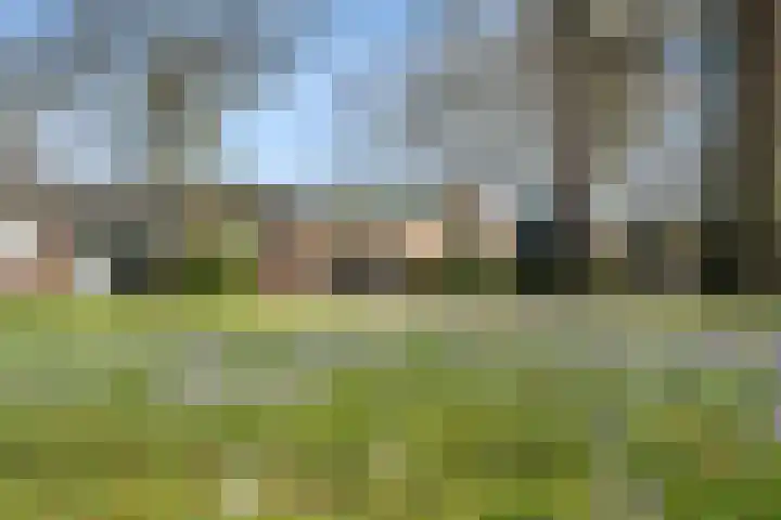 Ericapark 33 Bennekom thumbnail 13