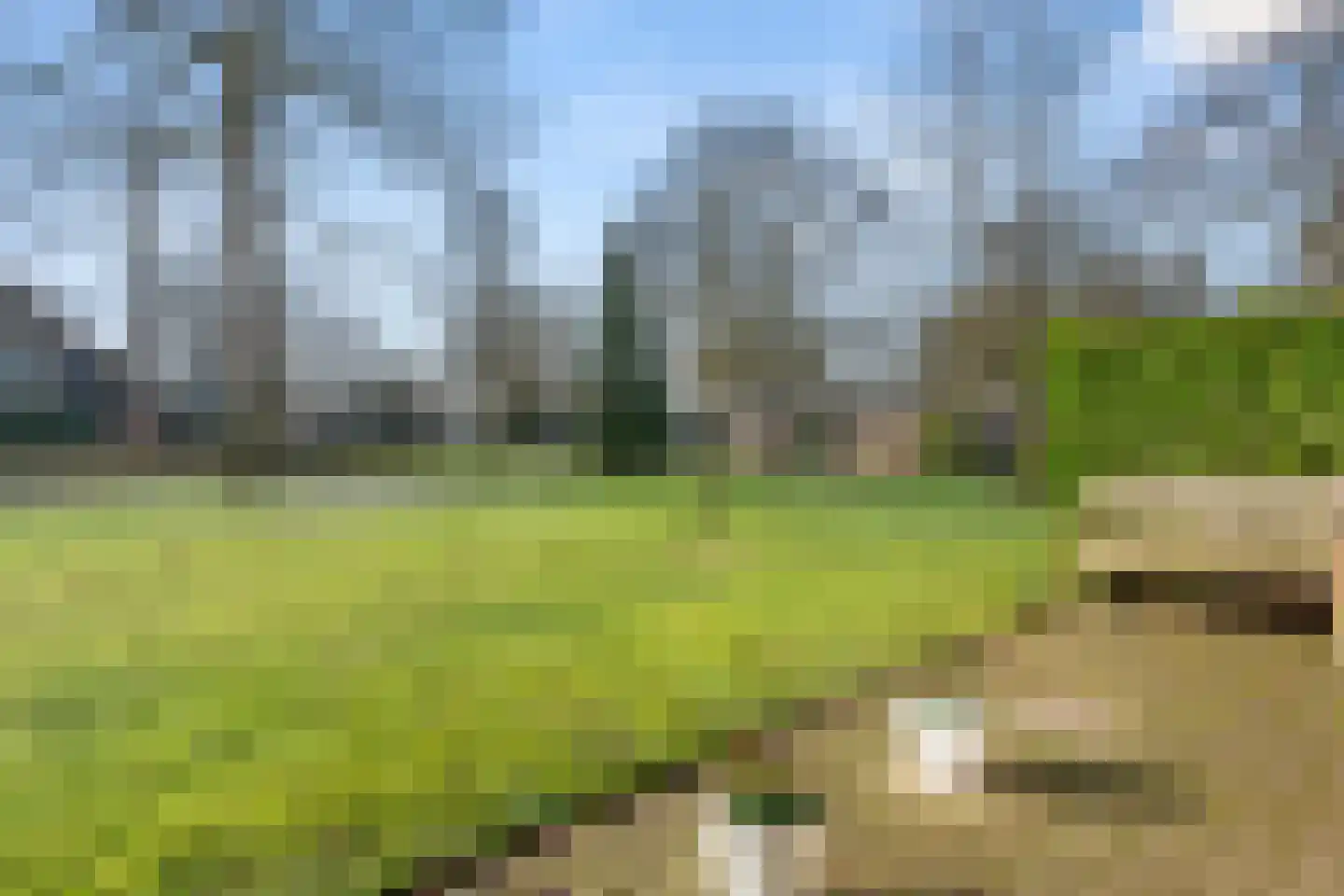 Ericapark 33 Bennekom thumbnail 13