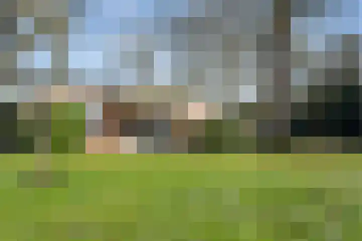 Ericapark 33 Bennekom thumbnail 14