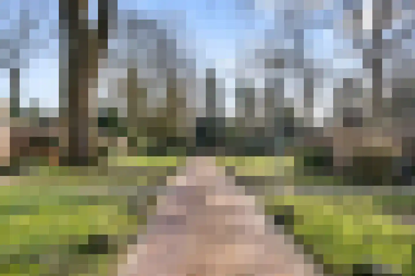 Ericapark 33 Bennekom thumbnail 14